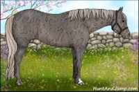 Horse Color:Silver Black Ice Appaloosa 