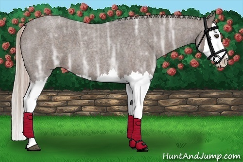 Horse Color:Silver Blue Ice Roan Splash 