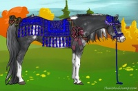 Horse Color:White Spotted Black Tobiano 