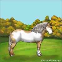 Horse Color:Silver Sable Champagne Frame 