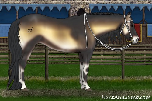 Horse Color:Brown Onyx
