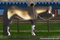 Horse Color:Brown Onyx 