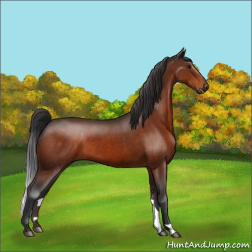 Horse Color:Brown 