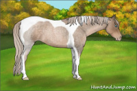 Horse Color:Gray Chocolate Palomino Roan Pearl Tobiano 