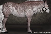 Horse Color:Chocolate Silver Black Chinchilla