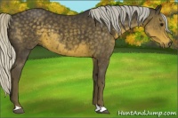 Horse Color:Silver Smoky Black 