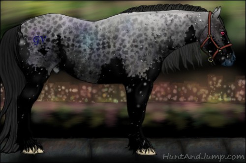 Horse Color:ERROR: UNKNOWN ANOMALY