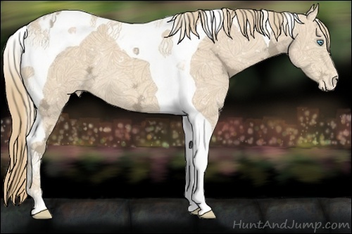 Horse Color:Perlino Ice Tobiano Appaloosa Rabicano