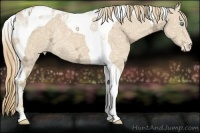 Horse Color:Perlino Ice Tobiano Appaloosa Rabicano 