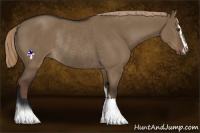 Horse Color:Liver Red Dun Sabino Rabicano
