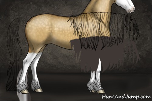 Horse Color:Buckskin Dun Splash
