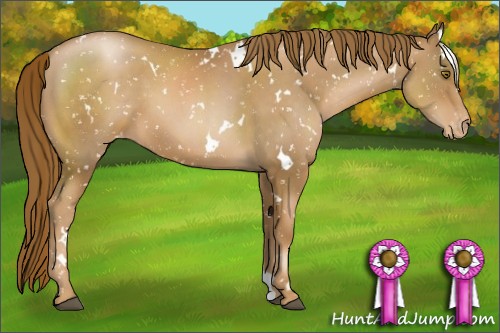 Horse Color:White Spotted Liver Chestnut Pearl Snowflake Varnish