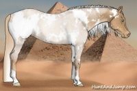 Horse Color:White Spotted Liver Chestnut Pearl Snowflake Varnish