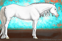 Horse Color:White Spotted Liver Chestnut Pearl Appaloosa