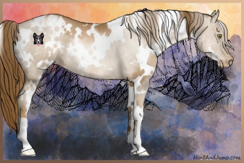 Horse Color:White Spotted Liver Chestnut Pearl Varnish