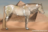 Horse Color:White Spotted Liver Chestnut Pearl Snowcap