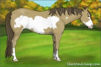 Horse Color:Classic Cream Champagne Frame 