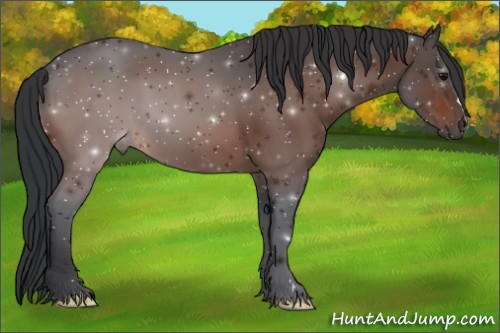Horse Color:Brown 