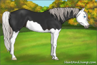 Horse Color:Gray Silver Brown Splash 