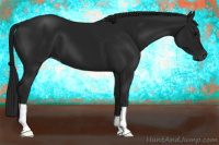 Horse Color:Gray Black 