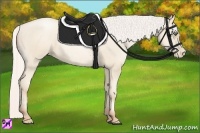 Horse Color:Silver Amber Cream Champagne Pearl