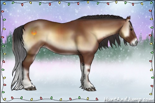 Horse Color:Bay Onyx