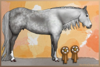Horse Color:Gray Black Sabino 