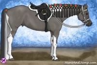 Horse Color:Grullo Roan Tobiano