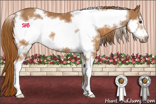 Horse Color:White Spotted Chestnut Sabino Frame 