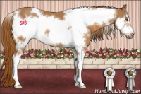 Horse Color:White Spotted Chestnut Sabino Frame