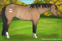 Horse Color:Brown Dun Rabicano