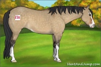 Horse Color:Brown Dun Sabino