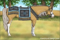 Horse Color:Silver Buckskin Dun Sabino