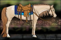 Horse Color:Smoky Black Pearl Appaloosa