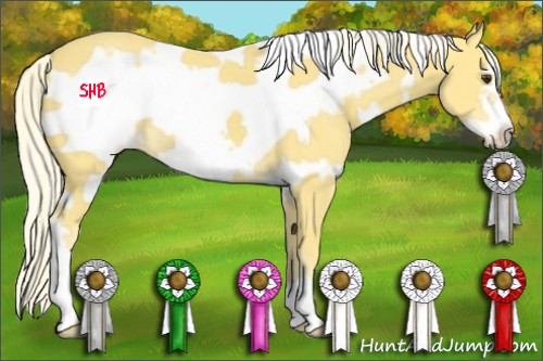Horse Color:White Spotted Palomino Frame