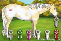 Horse Color:White Spotted Palomino Frame 