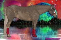 Horse Color:Chocolate Palomino 