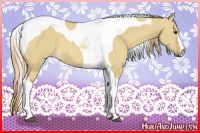 Horse Color:Red Dun Tobiano