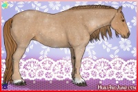 Horse Color:Red Roan 