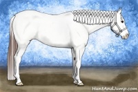 Horse Color:Bay Roan Blanket Rabicano 
