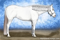 Horse Color:Brown Roan Blanket Rabicano 