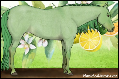 Horse Color:Watercolor Liver Red Dun Roan Rabicano