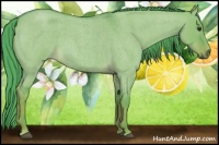 Horse Color:Watercolor Liver Red Dun Roan Rabicano 