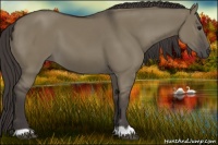 Horse Color:Smoky Grullo 