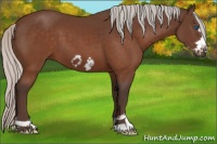 Horse Color:Silver Brown Frame 