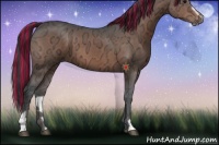 Horse Color:Painted Brown Ice Sabino 
