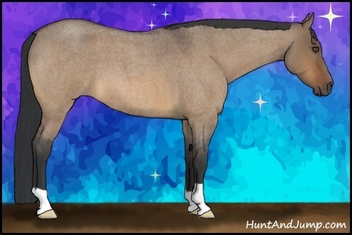 Horse Color:Bay Roan Dun