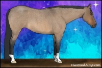Horse Color:Bay Roan Dun 