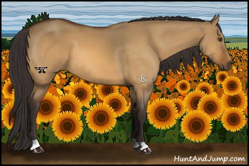 Horse Color:Buckskin Dun 
