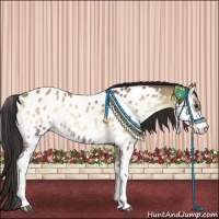 Horse Color:Liver Red Dun Onyx Sabino Appaloosa Rabicano 